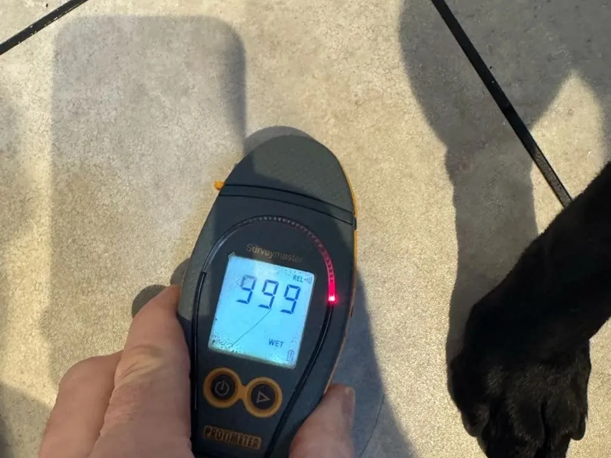Damp meter held on floor tiles showing its maximum reading